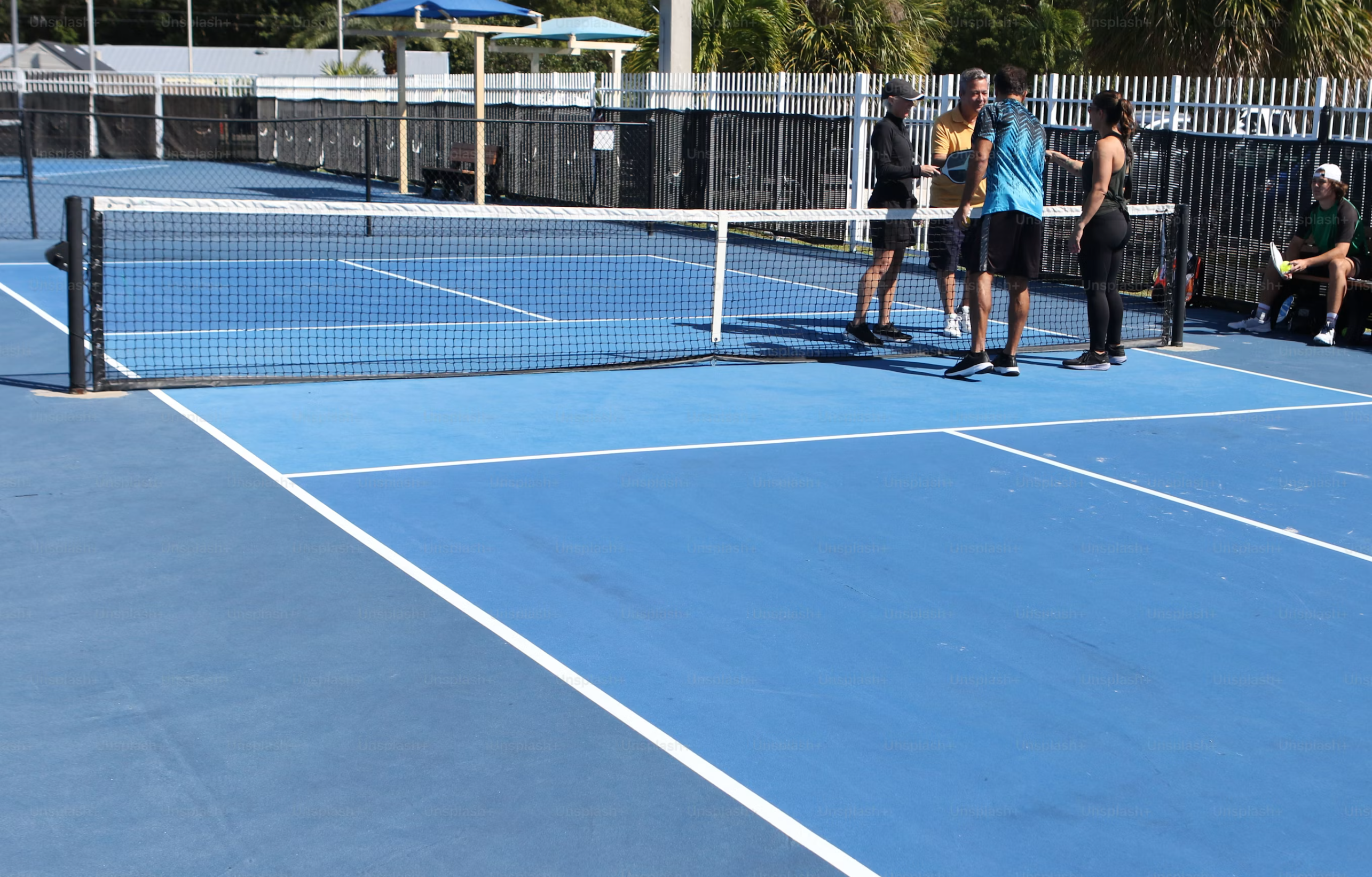 france pickleball filet